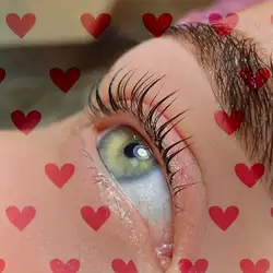 Daria Brow Kh — Харьков