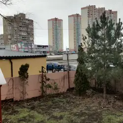 Владі — Киев