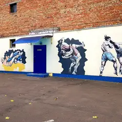 Єдиноборства