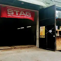 Stag