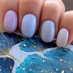 Chic 2 — Киев