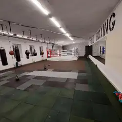 PitBull Boxing