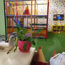 Pesto Cafe