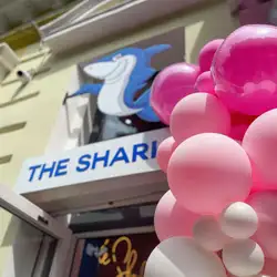 The Shark