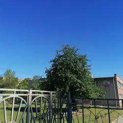 НВК Арніка — Львов