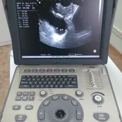 Doctor Arikov