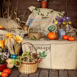 Фотостудія Puzzle Studio