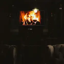 Paw Bar — Київ