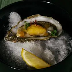 Lolla Gastro Place