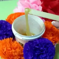 Леся — Дніпро