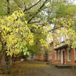 НВК №19