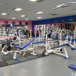 Fitnes Sport Style