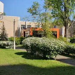Main School на лівому березі — Київ