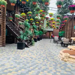 Нарцис