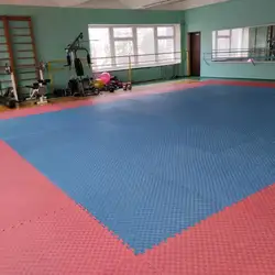 Вектор