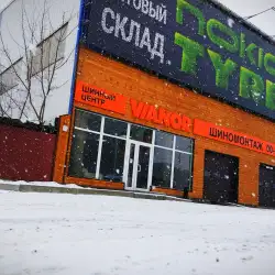 Шинний центр Vianor - Дніпро, Панікахі