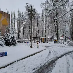 Рівненський ДНЗ № 040
