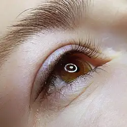 Lash&brow studio Olga Puryk