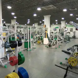 Fitness Expert