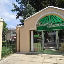 Біла Акація