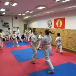Саторі но Мічі - Василя Липківського