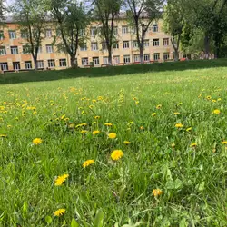Середня загальноосвітня школа №166 м. Києва