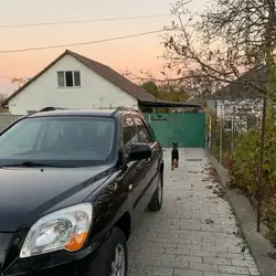 Ветеринарна клініка Анни Полянської