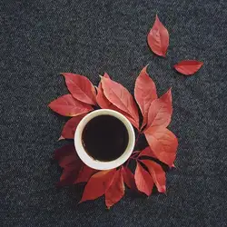 Mishki Coffee — Киев