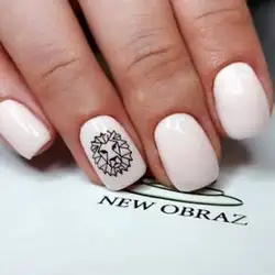 New Obraz