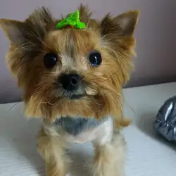 Petgroomingstyle