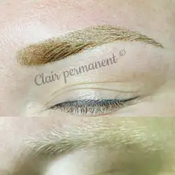 Clair Permanent