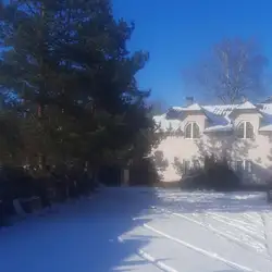 Скіф