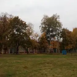 Дошкільний навчальний заклад (ясла-садок) №223
