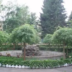 Медичний флебологічний центр