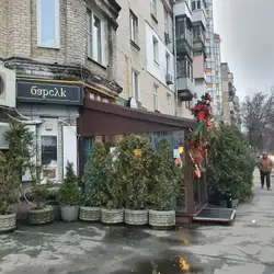 Барсук на Печерську / Barsuk