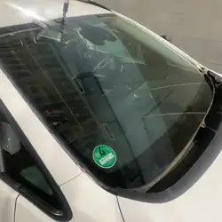 AutoGraf