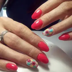 LeNails