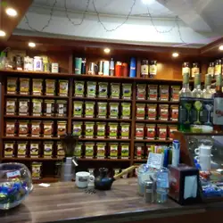 Coffee Tree — Киев
