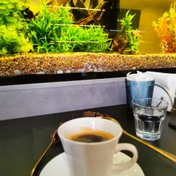 Grand Coffee — Біла Церква