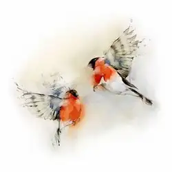 Катерина