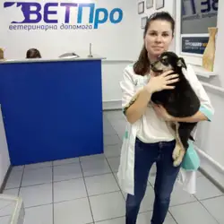 Клініка ветеринарної медицини