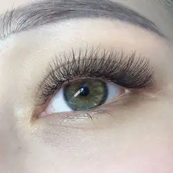 Lama lash — Київ