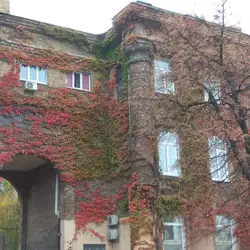 Арт Кофейня Gardman