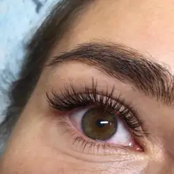 Art Lash