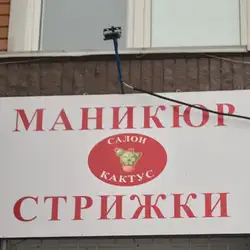 Салон Кактус — Київ