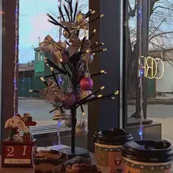Кавʼярня Crush Coffee — Хмельницький