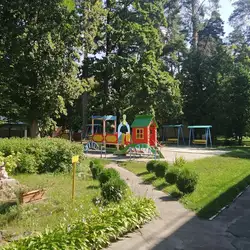 Лісова поляна