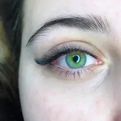 Lash Zone