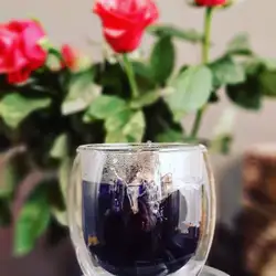 MIMOZA — Хмельницький