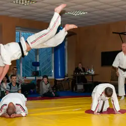 Школа єдиноборств Shorinjiryu Ken Sei Kai - Пастерівська